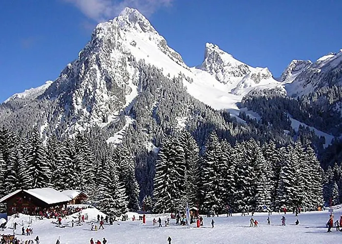 Rez De Jardin / Pieds Des Pistes