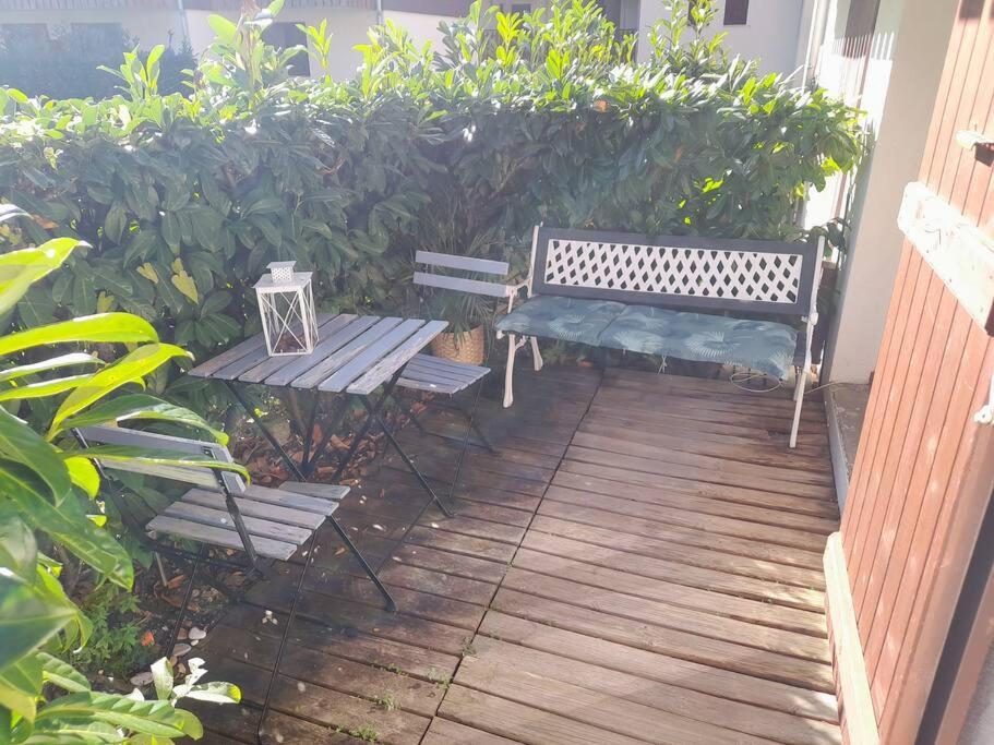 Rez De Jardin / Pieds Des Pistes